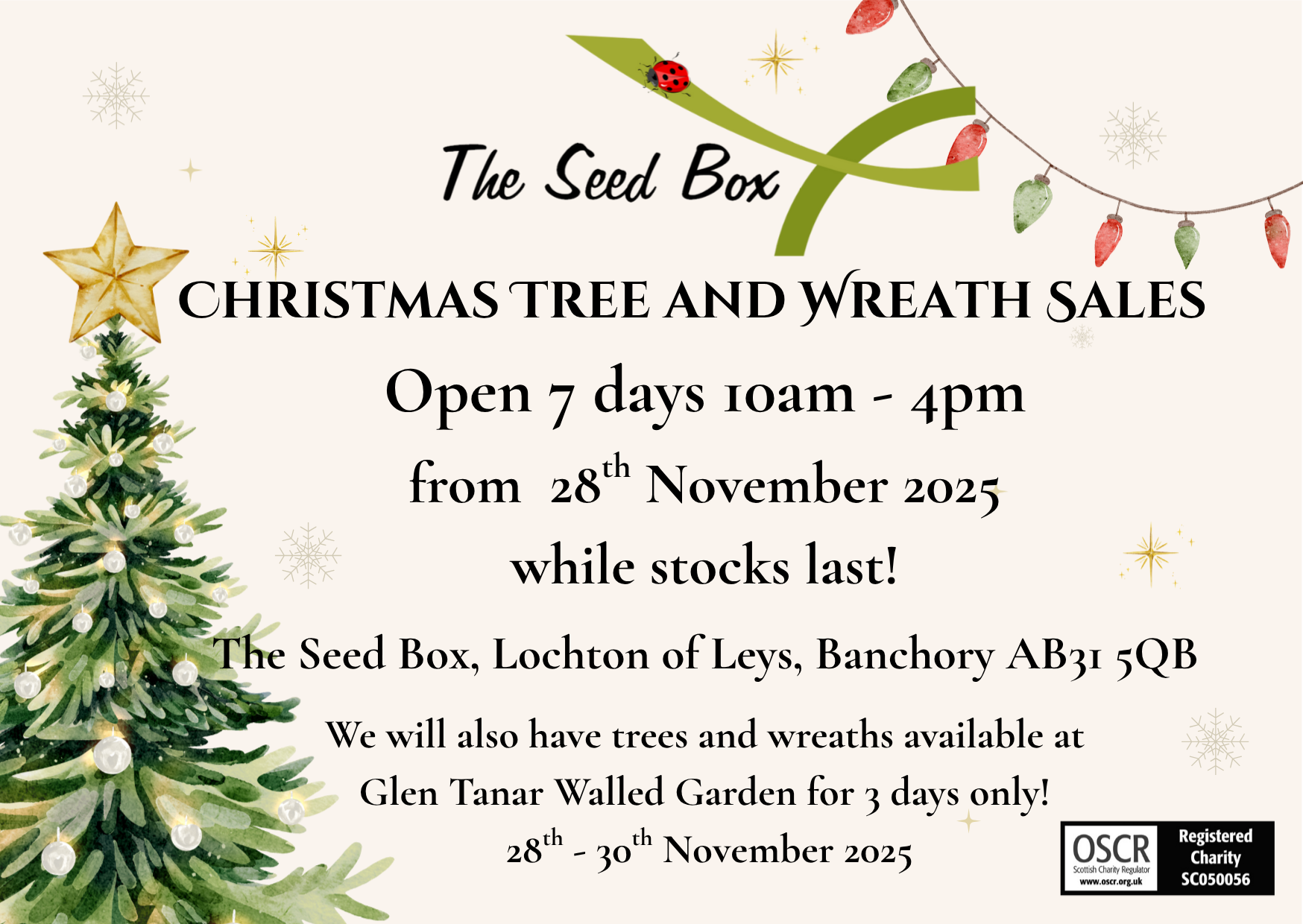 Christmas Trees and Wreaths 2025